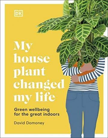 Meine Zimmerpflanze hat mein Leben verändert: Grünes Wohlbefinden für die schönen Innenräume