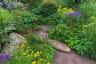 RHS Hampton: Wie britische Gärten in der Zukunft aussehen könnten