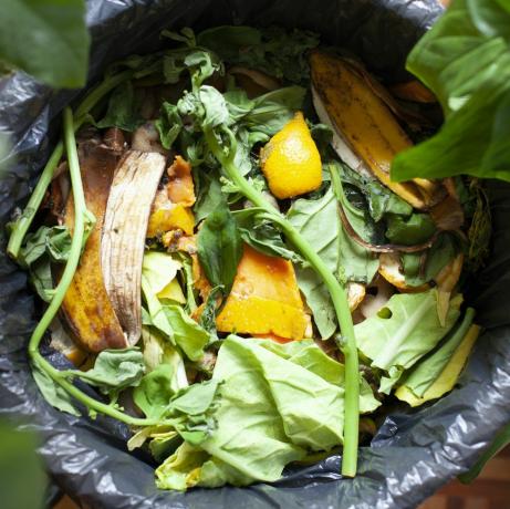 Bio-Lebensmittel im Kompostbehälter mit Obst, Gemüse und Gemüse