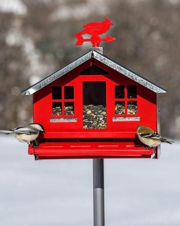 鳥の餌箱、雪、冬、巣箱、巣箱、鳥、インテリアデザイン、 