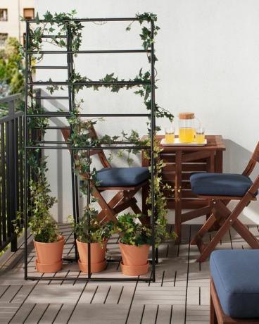Kvetináč, nábytok, stolička, izbová rastlina, izba, stôl, rastlina, balkón, interiérový dizajn, domov, 