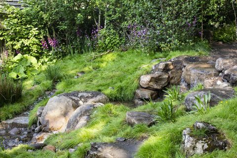 Ласкаво просимо до Йоркширського саду, розробленого Марком Грегорі, побудованого консультантами рельєфу Челсі квіткове шоу 2018