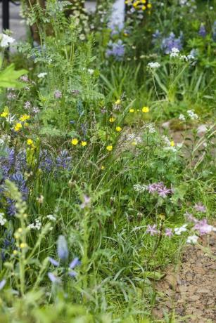 chelsea flower show 2019 benvenuto nel giardino dello Yorkshire di mark gregory