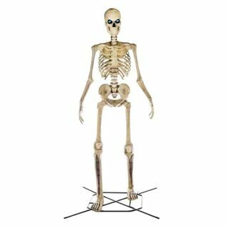 Esqueleto de 12 pés com LifeEyes