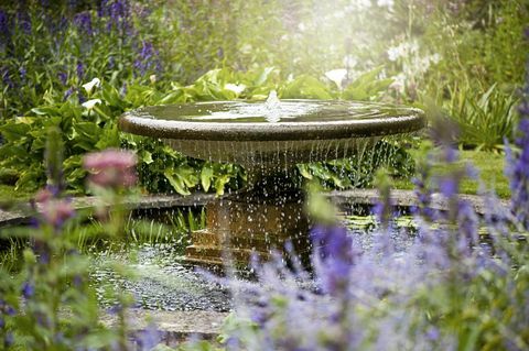 Красивый летний сад с фонтаном среди цветов, в туманном солнечном свете