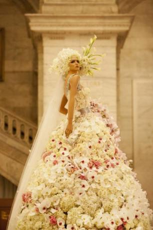 Apģērbs, ziedlapa, kleita, līgavas apģērbs, kleita, kāzu kleita, līgava, puķkopība, persiks, laulība, 