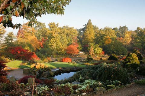 RHS Garden Wisley: Taman Batu dan Taman Liar di Wisley pada musim gugur