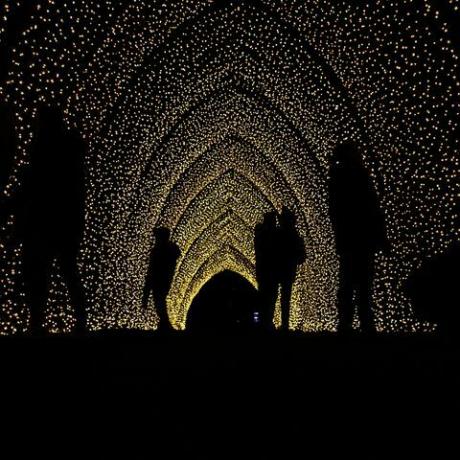 predogled osvetljenih božičnih instalacij v Kewu