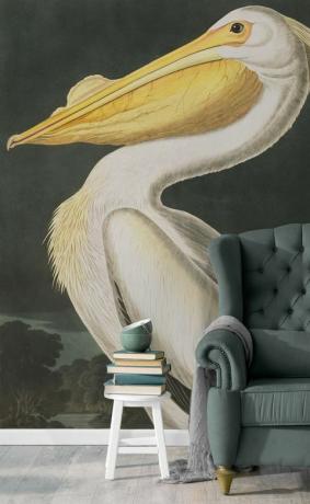 Koleksi Audubon - burung - Wallpaper Mural. Ilustrasi oleh J.J. Audubon, Burung Amerika