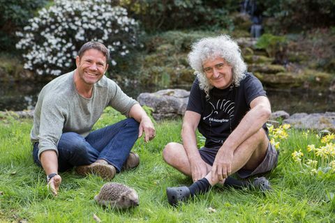 Steve Backshall, Brian May, Britse egels redden