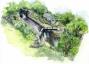 Marka Gregorija Čelsijas ziedu šova emuārs: Laipni lūdzam Jorkšīras dārzā