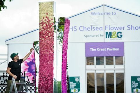 Bikagyűrű kapu a Chelsea virágkiállításon 2017