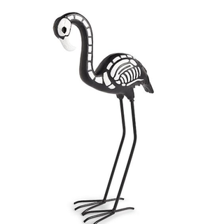 Элегантный скелет фламинго