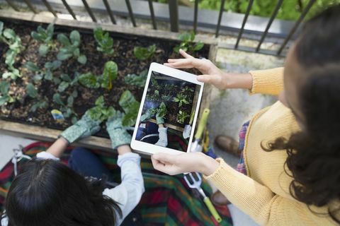 Overhead view jente med digital nettbrett som fotograferer mor hagearbeid