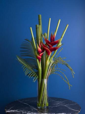 La Redoute meluncurkan tanaman tiruan mewah dan rangkaian bunga oleh Bloom