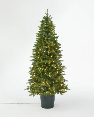 緑の鉢植えの事前に点灯したクリスマスツリー、7フィート
