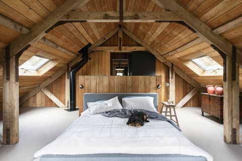drewniany sufit, pies, stodoła, biała kołdra