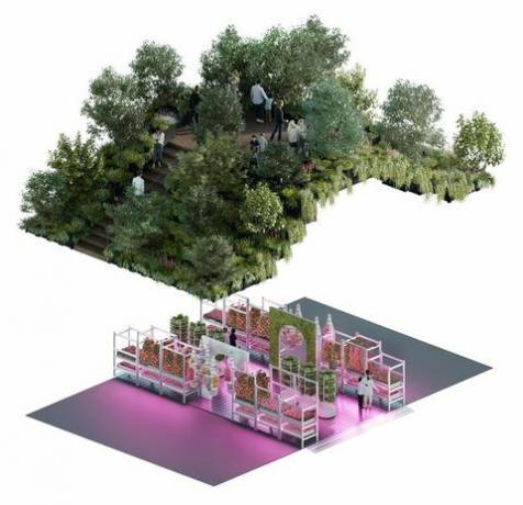 IKEA и Том Диксън: Градинарството ще спаси света, Show Garden,