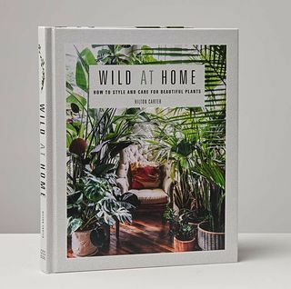Kniha Divoká doma: Kniha Štýl a starostlivosť o krásne rastliny