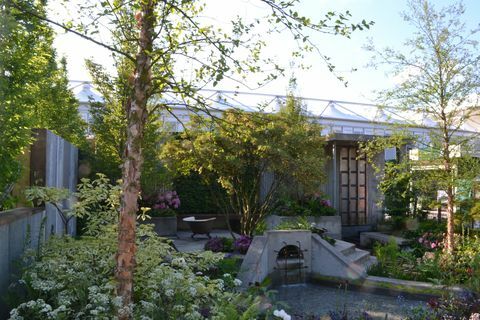 RHS Chelsea Flower Show Gardens - The Wasteland -prosjektet av Kate Gould