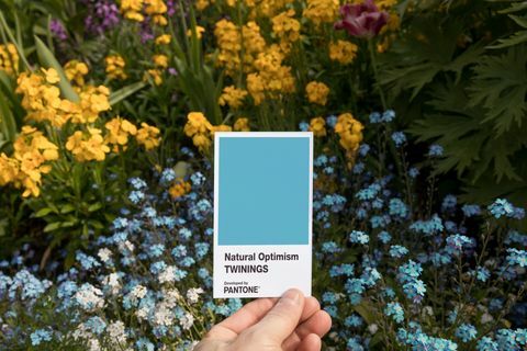 Twinings Infusions Natural Optimism in associazione con Pantone 