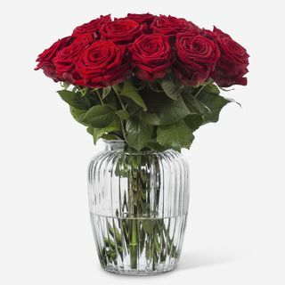 Mawar Naomi Merah