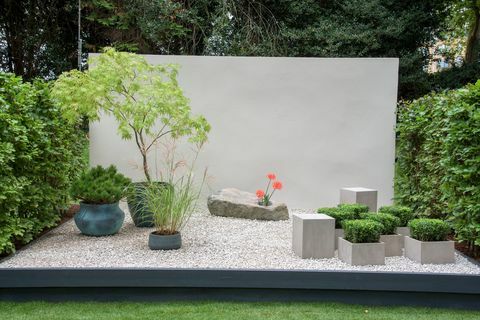 flor rhs chelsea mostra jardins em contêineres de 2021