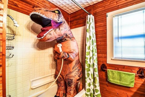 Dinosaure dans la salle de bain - Dinosaure Home Listing