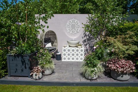תערוכת פרחים של צ'לסי 2022 גן מרפסת