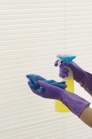 Par hænder i lilla gummihandsker, der rengør persienner med spray og klud