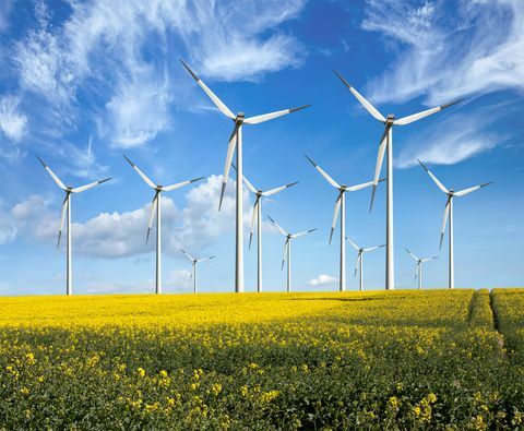 Umweltfreundliche Windkraftanlagen - erneuerbare Energien - in gelben Blumenfeldern