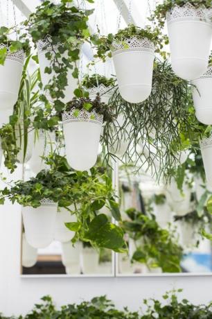 Az IKEA és az Indoor Garden Design közösen készített egy kijelzőt az RHS Chelsea Flower Show 2017-en