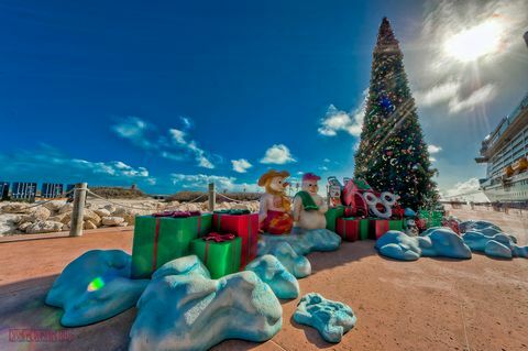 السياحة ، روك ، عطلة ، الرمال ، أكوا ، زينة عيد الميلاد ، البط البري ، شجرة عيد الميلاد ، الفيروز ، عشية عيد الميلاد ، 