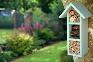 ელის ფაულერის 5 ძირითადი რჩევა ფუტკრების მოსაზიდად თქვენს ბაღში