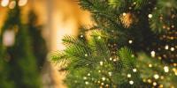 不運を避けるためにクリスマスツリーを撤去する時期