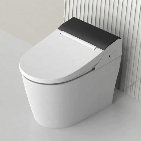 Intelligente Bidet-Toilette
