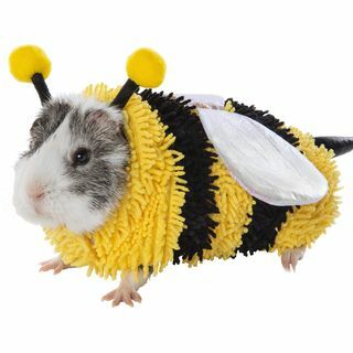 ონლაინ თამაში Bumble Bee Costume