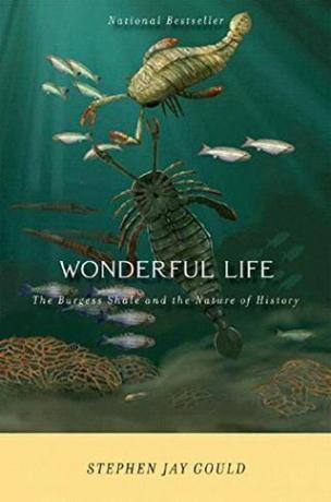 La vita meravigliosa: il Burgess Shale e la natura della storia