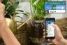 Aplikace DRYP vám pomůže udržet vaše rostliny naživu