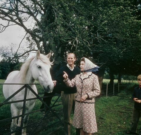 regina elizabeth ii și prințul philip vizitează o fermă de pe moșia balmoral din Scoția, în timpul anului aniversării nunții de argint, septembrie 1972, fotografie de fox photoshulton archivegetty images