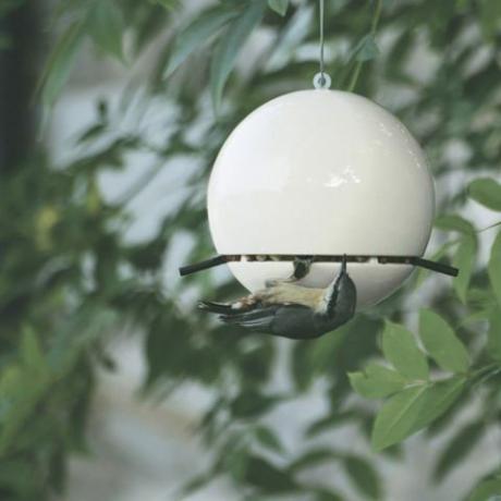 ZIELONY I NIEBIESKI Karmnik dla ptaków orzeszków ziemnych - biały