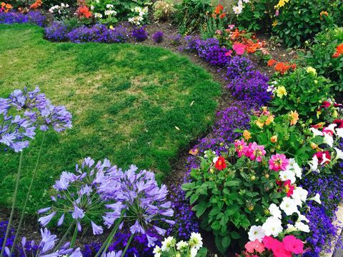 Cama de flores multicolores en el jardín