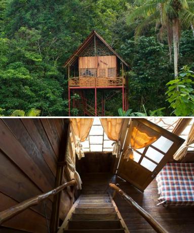Rumah pohon Airbnb Cooper, Kosta Rika