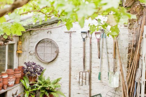 Työkalut roikkuvat puutarhavajan seinällä