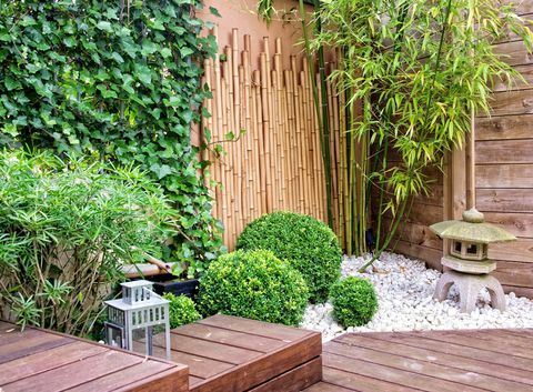 ogród japoński z bambusami i kamienną latarnią