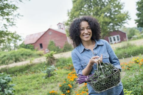 mulher carregando colheita