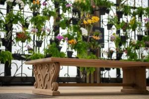 Longwood Gardens enthüllt ein neu restauriertes Orchideenhaus mit 300 Blüten