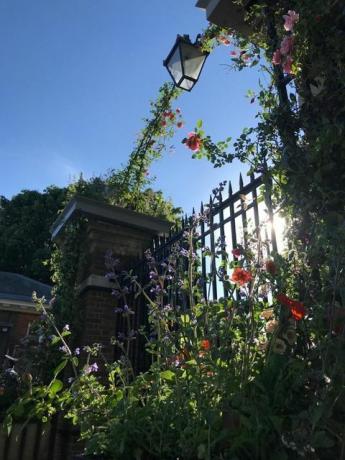 Londono vartų „jamjar“ gėlių dizainas, rhs chelsea gėlių šou