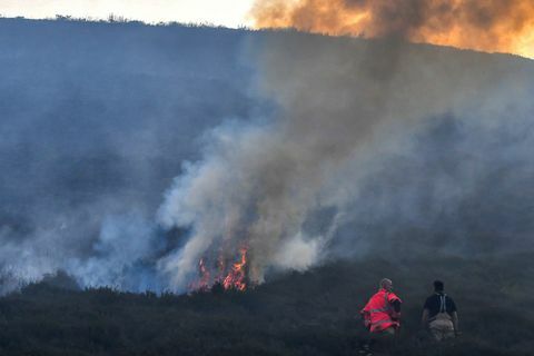 Saddleworth Moor brann