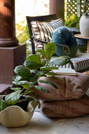 smuiko lapo figmedis austinėje sodyklėje verandoje, kurią sukūrė Bethany Adams